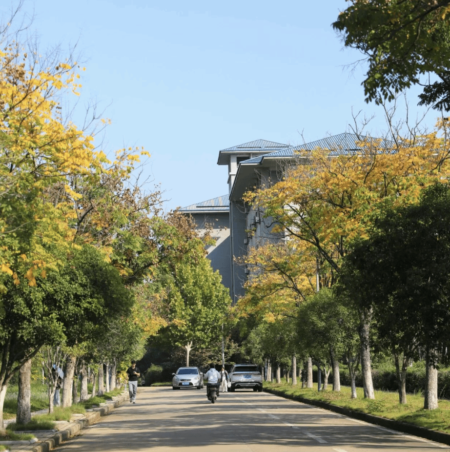 风吹片叶🍁 万物惊秋