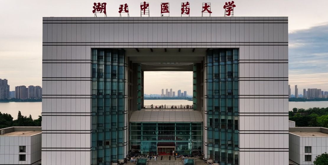 骤雨初歇 盛夏将至 愿一切安好
